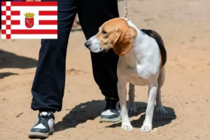 Read more about the article Bremen’de İsviçre Lowland Köpeği Yetiştiricisi ve Yavruları